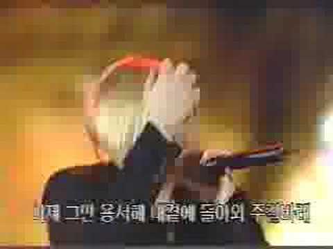 H.O.T 환희