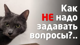 Как не надо задавать вопросы?