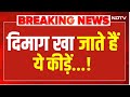 LIVE: Kerala में दिमाग खाने वाले कीड़ों का तांडव! Brain Eating Amoeba | Top News