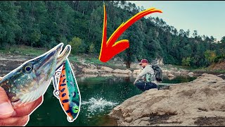 The Pike Were Wild on Top… But an Unexpected Catch Stole the Show