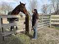 Oxford school shooting survivor heals via surgery and horses, while awaiting her chance to speak