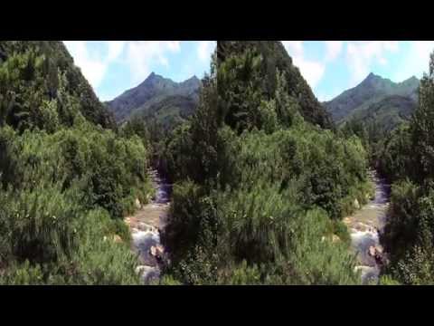[Korea3DShowcase2011] Forest of bandi ; Fireflis by KTSKYLIFE(SKY3D)