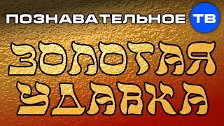 Опубликовано Познавательное ТВ на YouTube 15.07.2014 Валентин Катасонов: Золотая удавка. Часть из рассказа Валентина Катасонова "Генерал контрразведки против мировых банкиров": Ввод золотого стандарта уменьшает денежную массу страны. Золотая удавка (Познавательное ТВ, Валентин Катасонов)