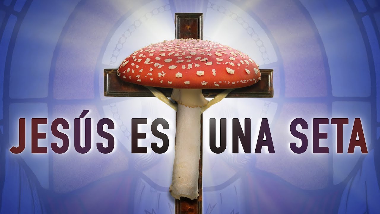 jesucristo, youtuber, jesus, amanita, setas, allegro, psilocibina, McKenna, virgen,