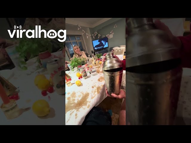 Shaken or Stirred?  || ViralHog