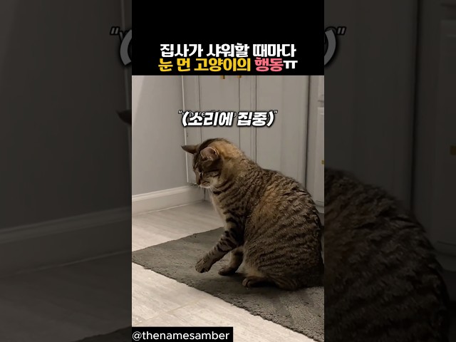 집사가 샤워할 때마다 눈 먼 고양이의 행동 #동물 #고양이 #감동