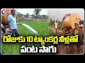 Farmer Using Water Tankers For Crops At Chelmeda Village | Medak District | V6 News