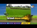 రబీ వరిలో పోషకాల యాజమాన్యం | Rabi Rice Crop Cultivation Methods | Matti Manishi | 10TV News  - 05:18 min - News - Video