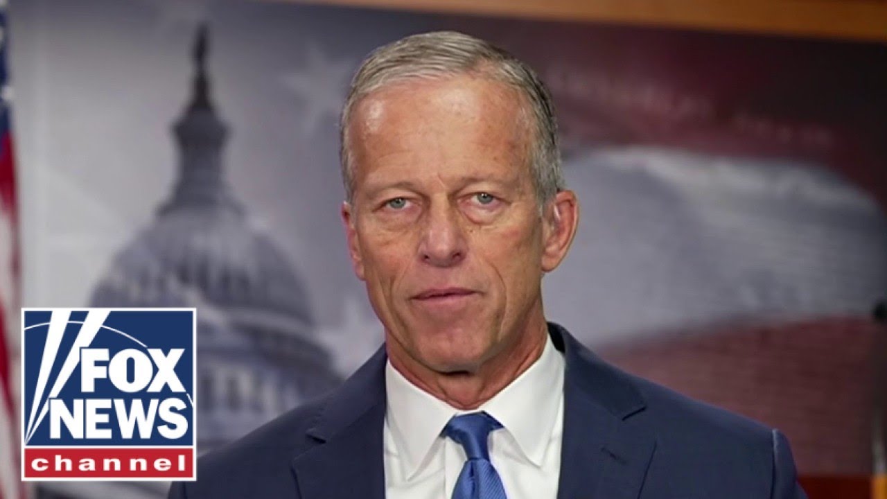 Sen. Thune warns Dems against possible government shutdown, socialist pivot