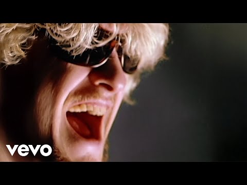Alice In Chains - Rooster