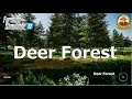 Deer Forest v1.0.0.0