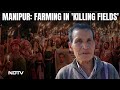 Manipur Violence Reason | Farmers Cant Tend To Crops Within Gun Range In Manipurs Foothills