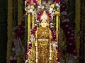 పసుపుకొమ్ములు.. అందమైన పూలతో మహాలక్ష్మీ అలంకారం​ 🕉️🙏 #mahalakshmi #kotideepotsavam2023 #bhakthitv - 00:53 min - News - Video