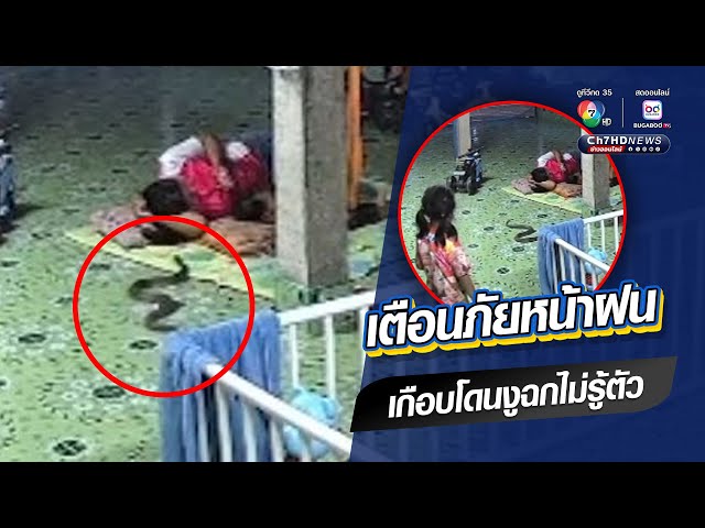 เตือนภัยหน้าฝน เกือบโดนงูฉกไม่รู้ตัว | ข่าวออนไลน์ 7HD