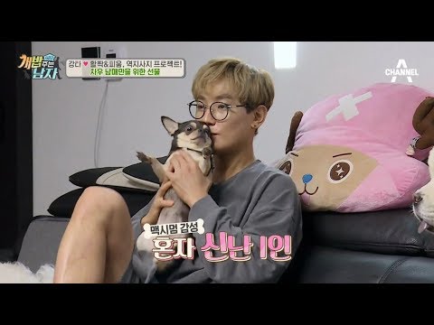 인간맥시멈 강타