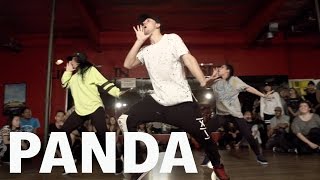 Panda Dance
