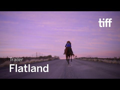 Flatland'