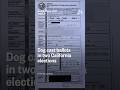 Dog cast ballots in two California elections