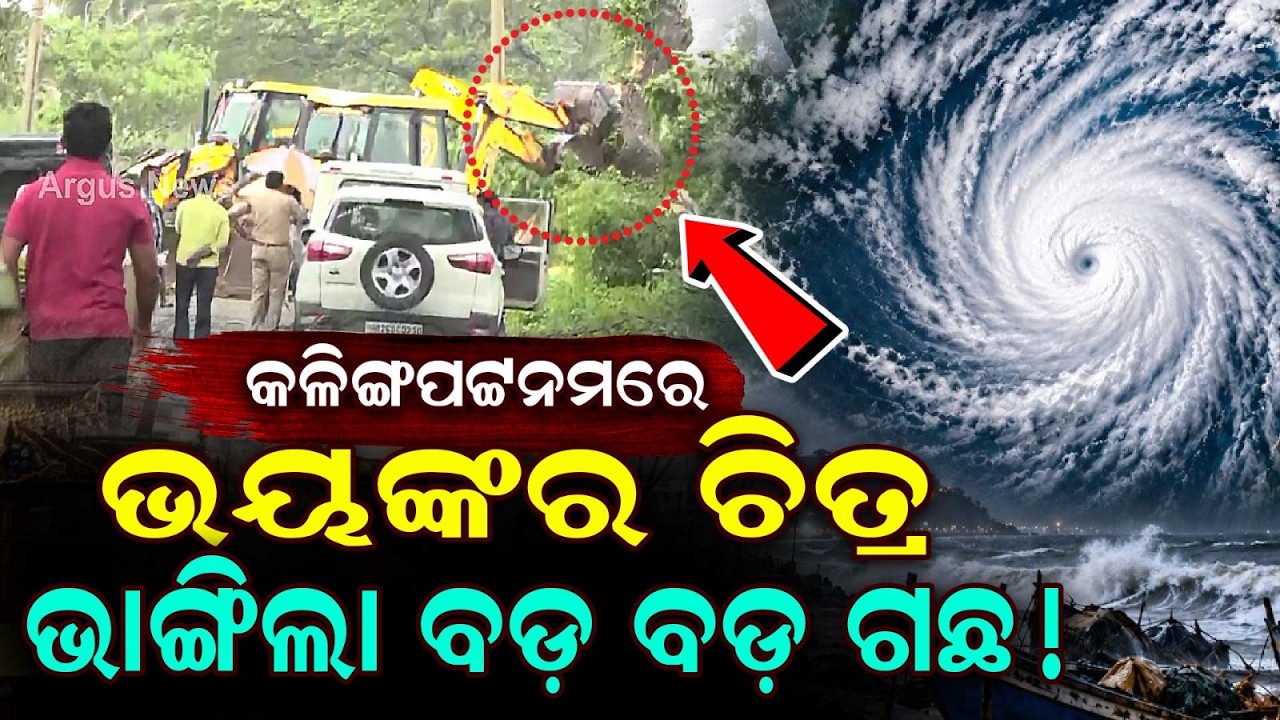 Relief In Kalingapatnam As Weather Clears Up; Tehsildar Shares Ground Update | Argus News