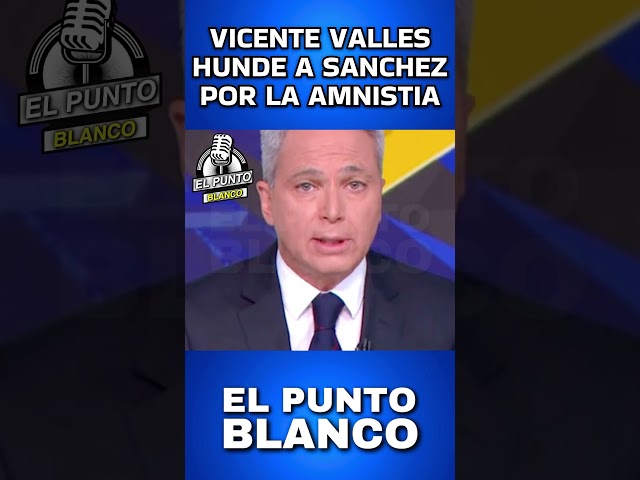 VICENTE VALLES HUNDE A SANCHEZ POR SU AMNISTIA #shorts #vox #abascal #vicentevalles #amnistía