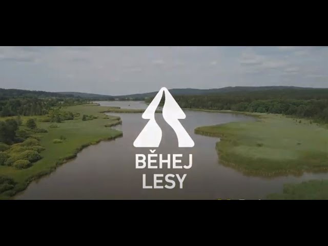 Běhej lesy Brdy 2019