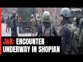Encounter Breaks Out Between Security Forces, Terrorists In J&Ks Shopian