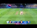 AUS vs AFG: Warner breaks Australian record for highest WC Score