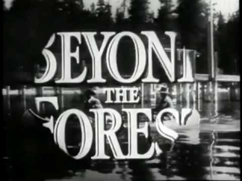 Beyond the Forest'