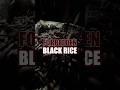 Black rice | forbidden rice | sanjeev kapoor | shorts #ytshorts #sanjeevkapoor