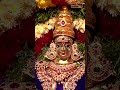 సమస్త దోషాలను తొలగించే రాహుకేతు పూజ #rahuketupooja #karthikamasam #kotideepotsavam #bhakthitv - 00:43 min - News - Video