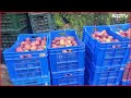 Himachal Pradesh Floods | Himachals Apple Trade Hit As Floods Block Major Roads - 05:03 min - News - Video