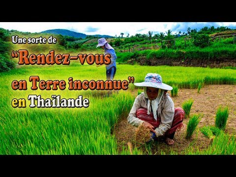 rendez-vous en terre inconnue thaïlande