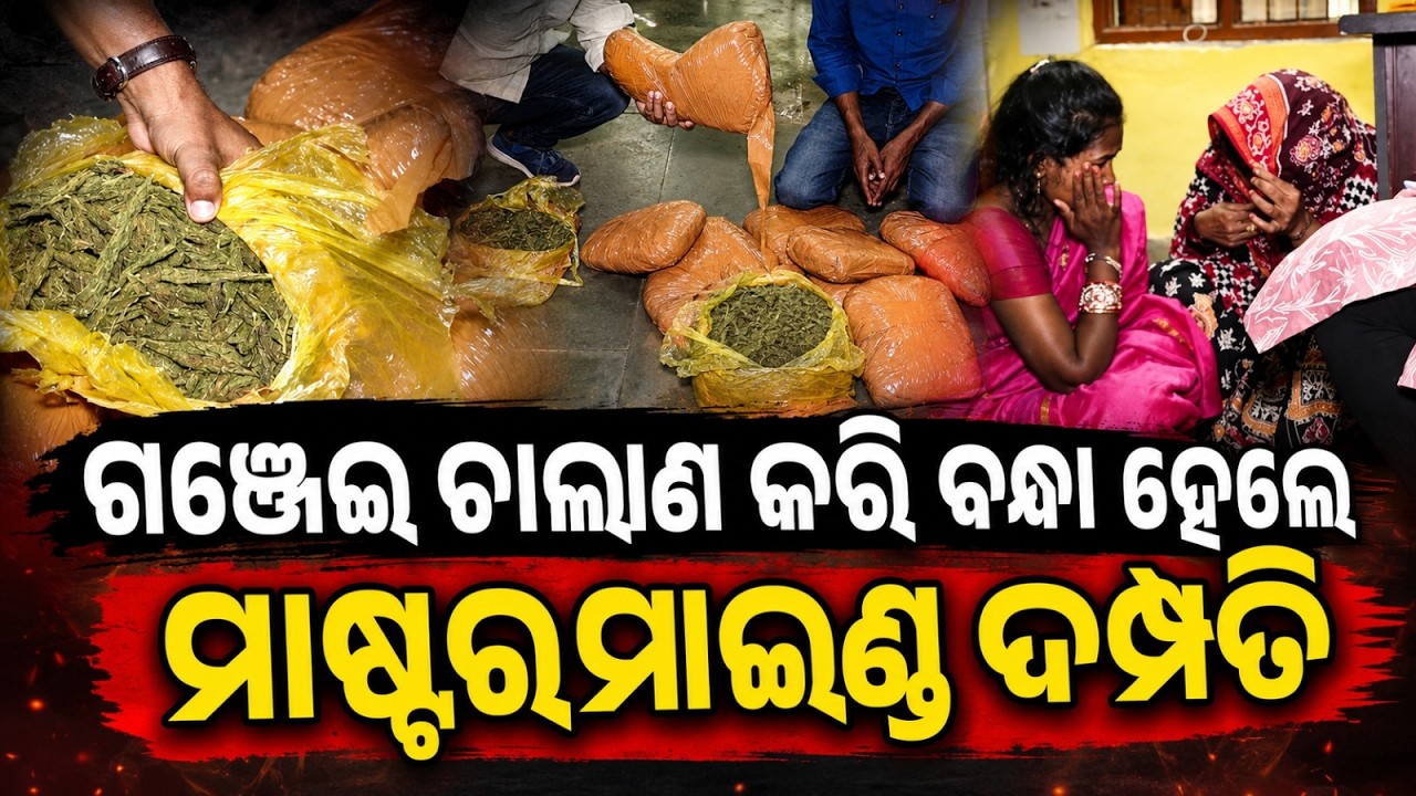 Mastermind Couple Arrested For Smuggling 70kg Ganja From Kandhamal To Bhubaneswar | Argus News
