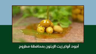   محافظة القاهرة تستضيف معرض كنوز مطروح