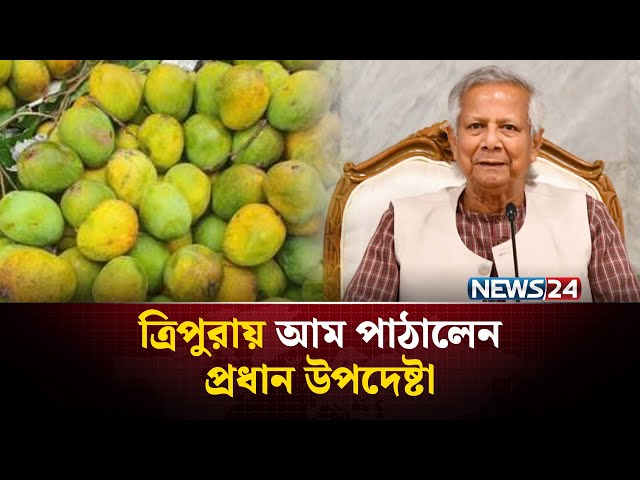 ত্রিপুরার মুখ্যমন্ত্রীর জন্য হাড়িভাঙা আম পাঠালেন প্রধান উপদেষ্টা | NEWS24