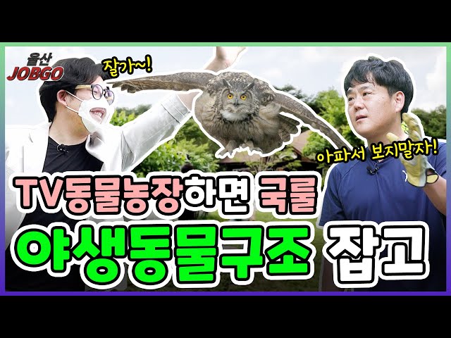 야생동물 발견 시, 제발 이것만 하지마세요!!!ㅣ울산잡고 ep.63ㅣ울산야생동물구조관리센터편