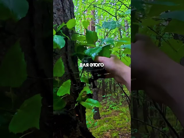 Подпишись❤️