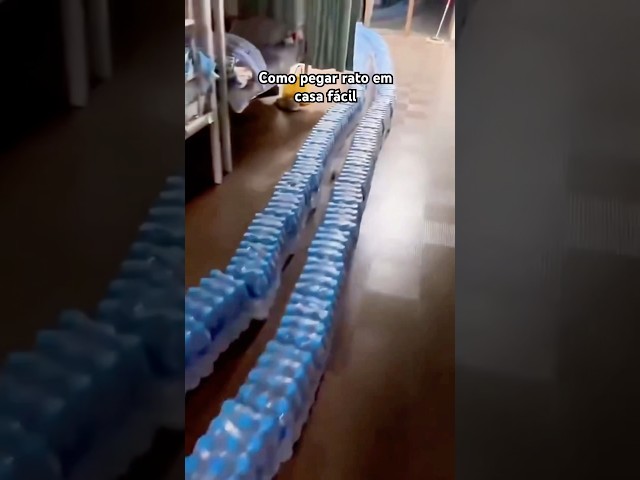 Como pegar rato em casa fácil