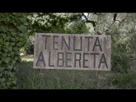 Video realizado por la propiedad