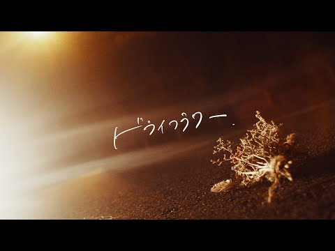 「ドライフラワー」/須澤紀信(MUSIC VIDEO)【公式】