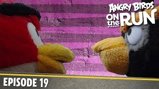 Angry Birds Na tku  - Pasca