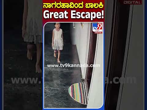 Girl's miraculous escape from venomous snake at doorstep, shocking visuals