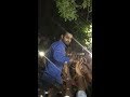 Jr NTR Birthday Celebrations