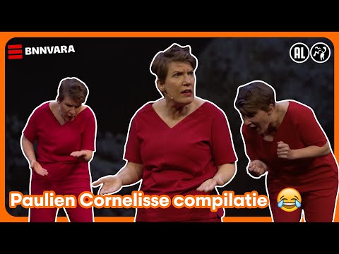Paulien Cornelisse - Aanstalten'