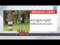 మిథున్‌రెడ్డికి మధ్యంతర బెయిల్‌ || ACB Court Grants Interim Bail to Mithun Reddy || @SakshiTV - 01:52 min - News - Video