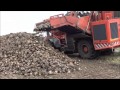 Miniatura video