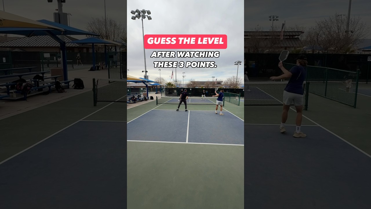 Guess the pickleballs level!