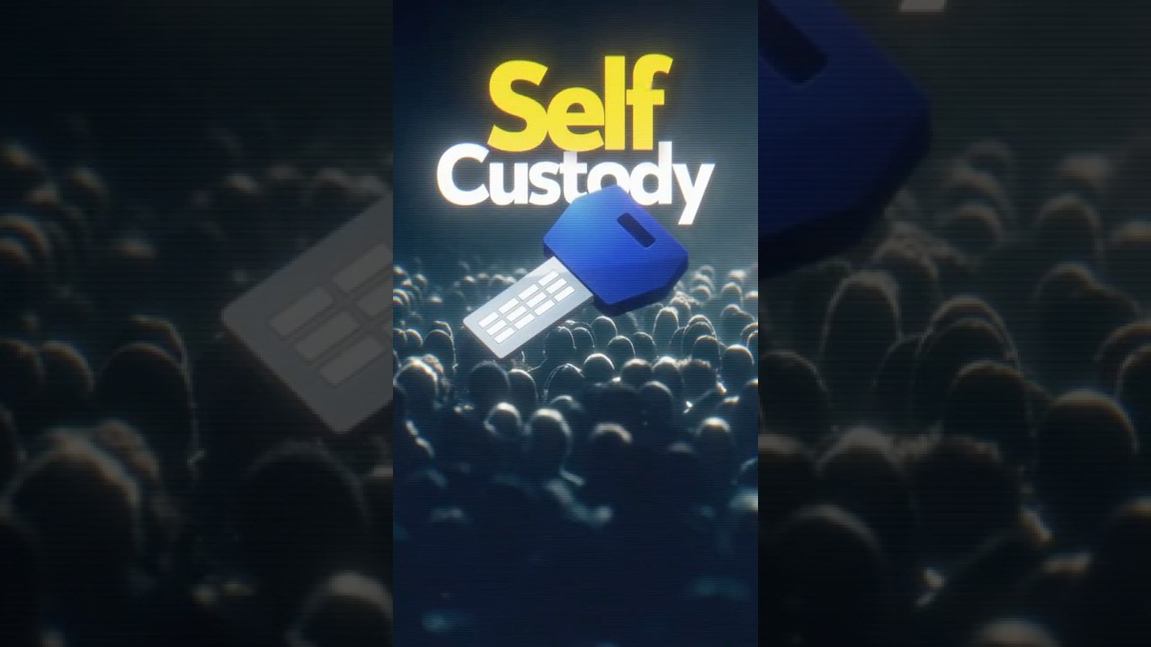 Are you comfortable with self custody? crypto selfcustody cryptowallet