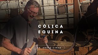 Colica Equina | André Simon - Vet Raiz