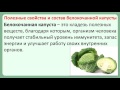 Капуста при диабете можно. Капуста при сахарном диабете. Капуста для диабетиков. Капуста при сахарном диабете 2 типа. Можно при диабете капусту квашеную.